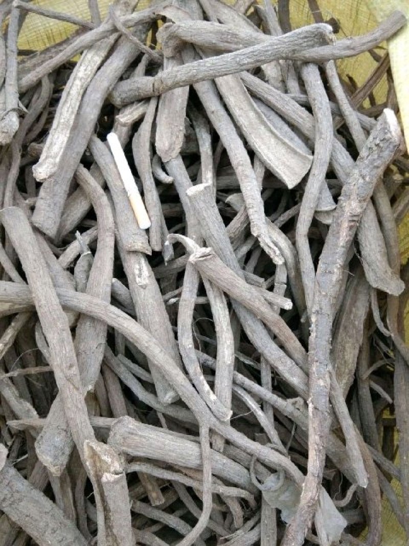 【推荐】土木香大货，精选条子，药厂统货，片子