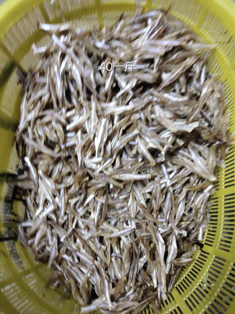 小银鱼