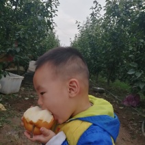 晚秋黄梨