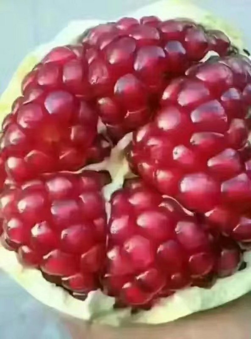 临潼石榴
