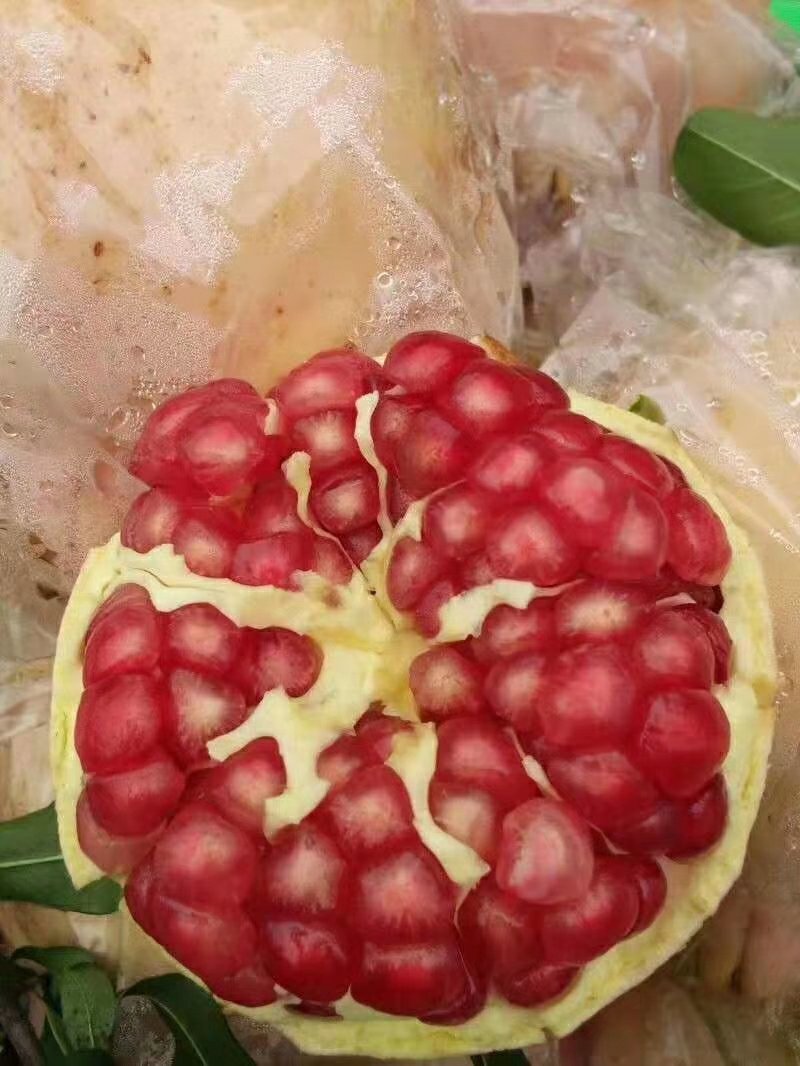 临潼石榴