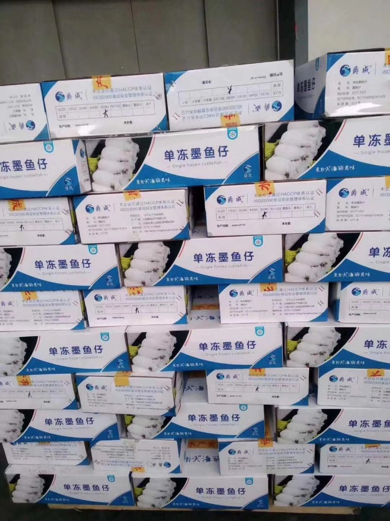 墨鱼仔单冻墨鱼仔大号小号