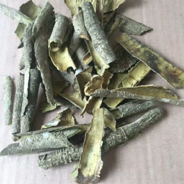 白银树皮产地直供支持线上交易可搭配多品种采购大货联系