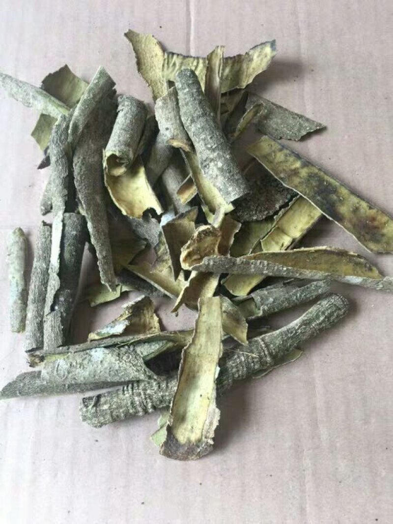 白银树皮产地直供支持线上交易可搭配多品种采购大货联系
