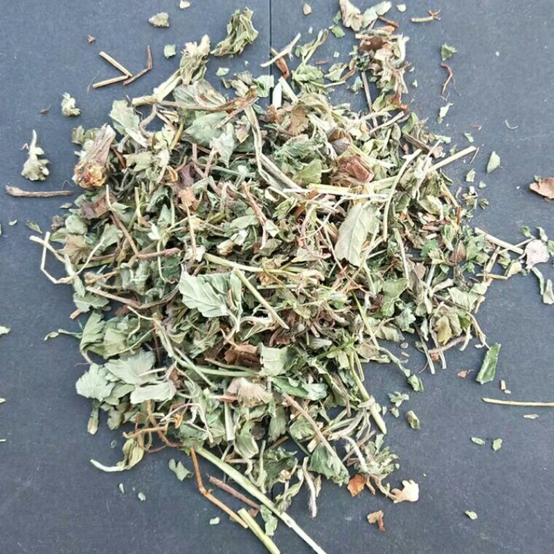 蛇莓产地直供支持线上交易可搭配多品种采购大货联系