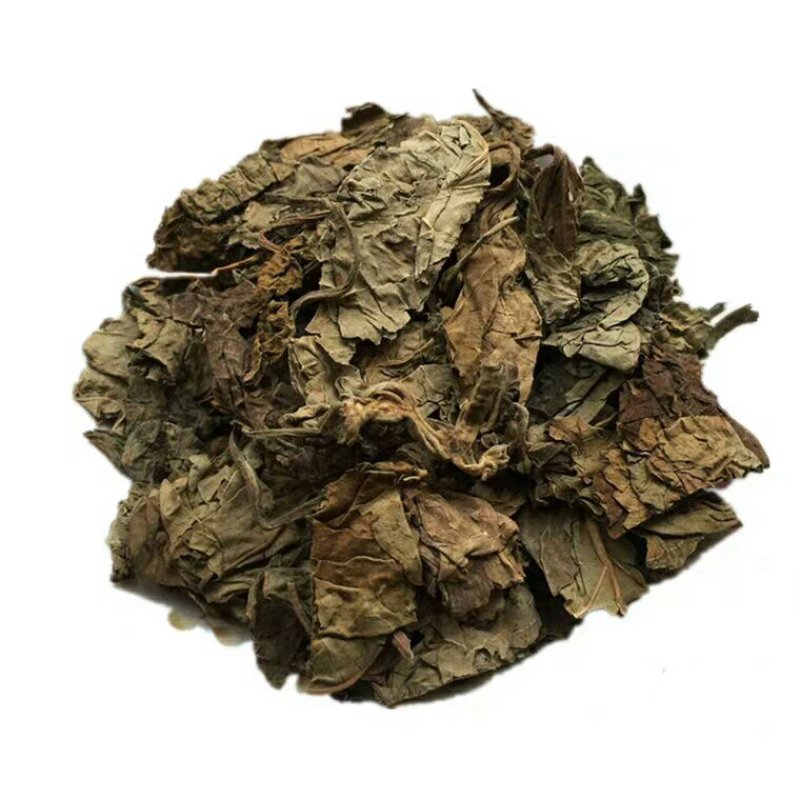 梧桐叶产地直供支持线上交易可搭配多品种采购大货联系