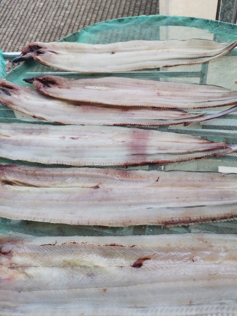 鳗鱼干现晒现发质量保证（纯淡）