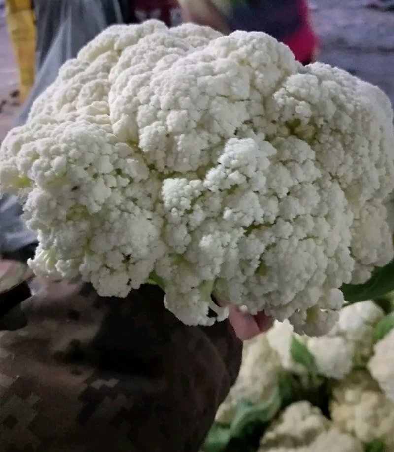 松花菜，散花【视频看货产地直发.诚信代发全国】