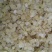 云南野生雪莲子单夹皂角米皂角仁500g无硫雪莲子