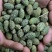 新疆野生野西瓜小西瓜正宗中药材泡酒料500g包邮腰腿关节