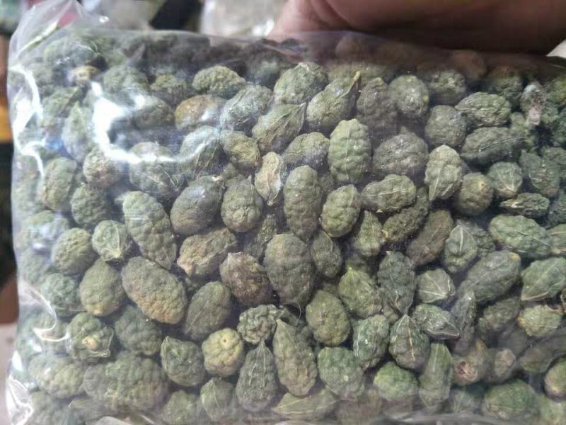 新疆野生野西瓜小西瓜正宗中药材泡酒料500g包邮腰腿关节