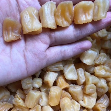 大瑶柱