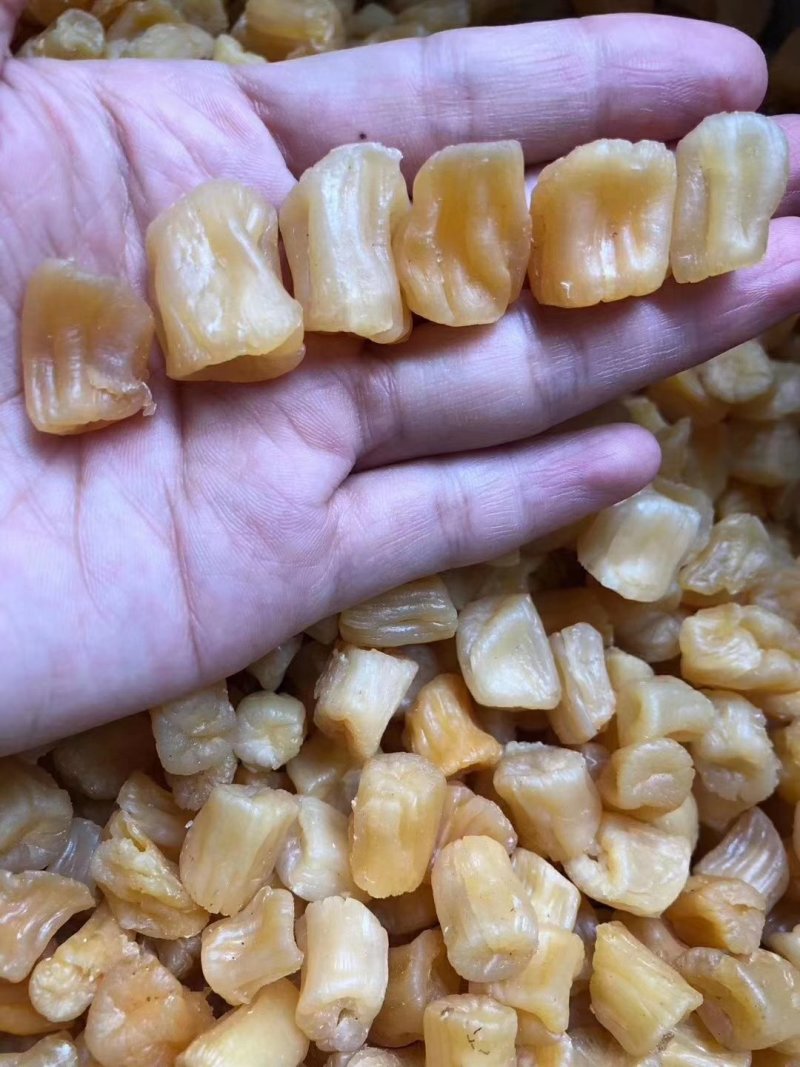 大瑶柱