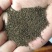 半枝莲种子四季易种易活花海公园庭院具有药用价值