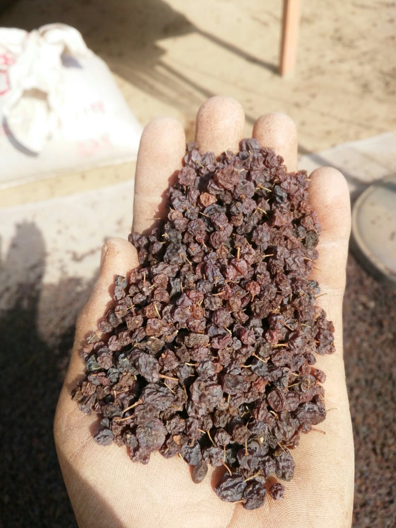 锁锁葡萄干空运快递都可以发，药用价值很高。