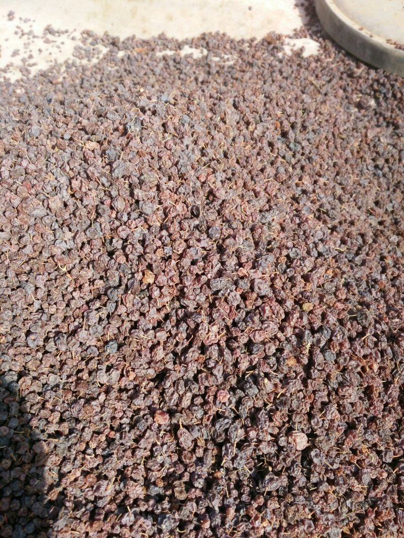 锁锁葡萄干空运快递都可以发，药用价值很高。