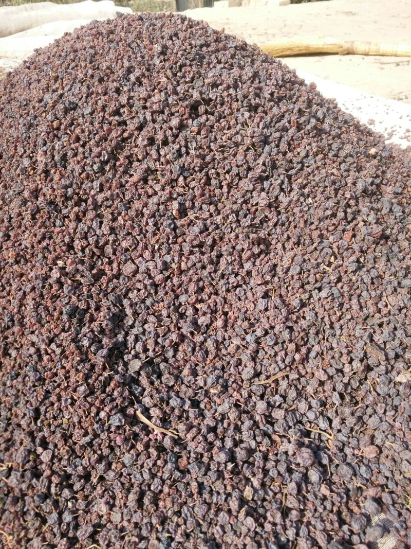 锁锁葡萄干空运快递都可以发，药用价值很高。