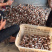 姬松茸菌干货基地直销批发巴西菇干品