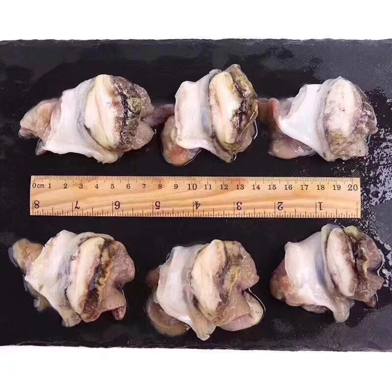 海螺肉