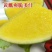浪潮五号西瓜种子花皮黄瓤无籽西瓜种子原装50克