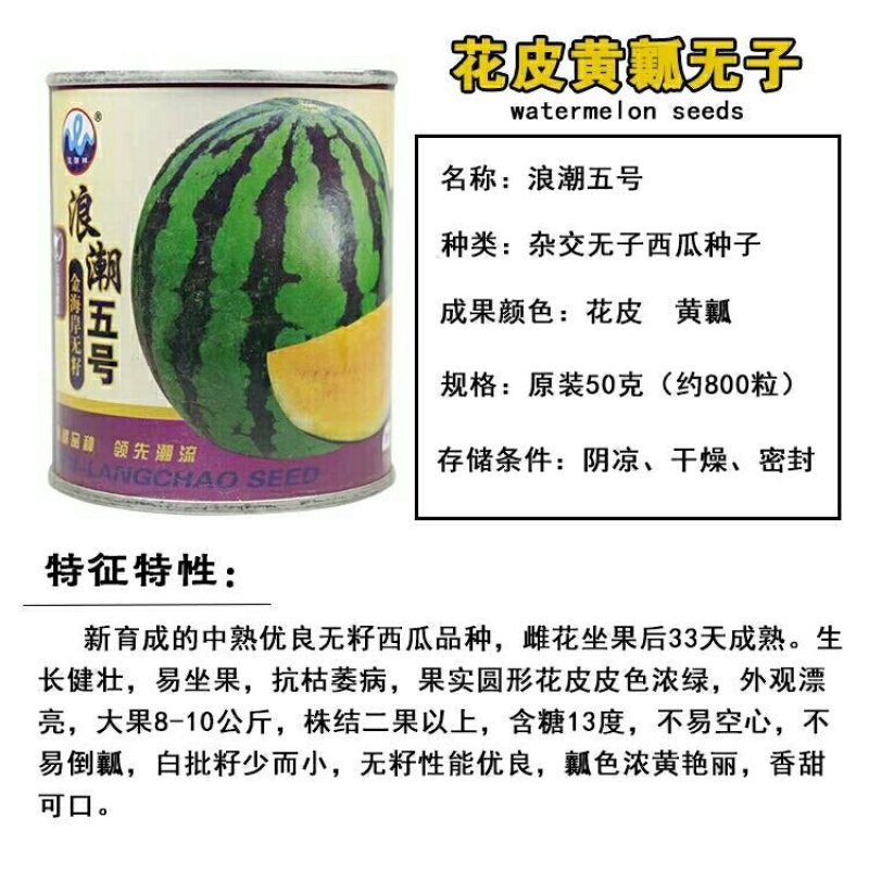 浪潮五号西瓜种子花皮黄瓤无籽西瓜种子原装50克