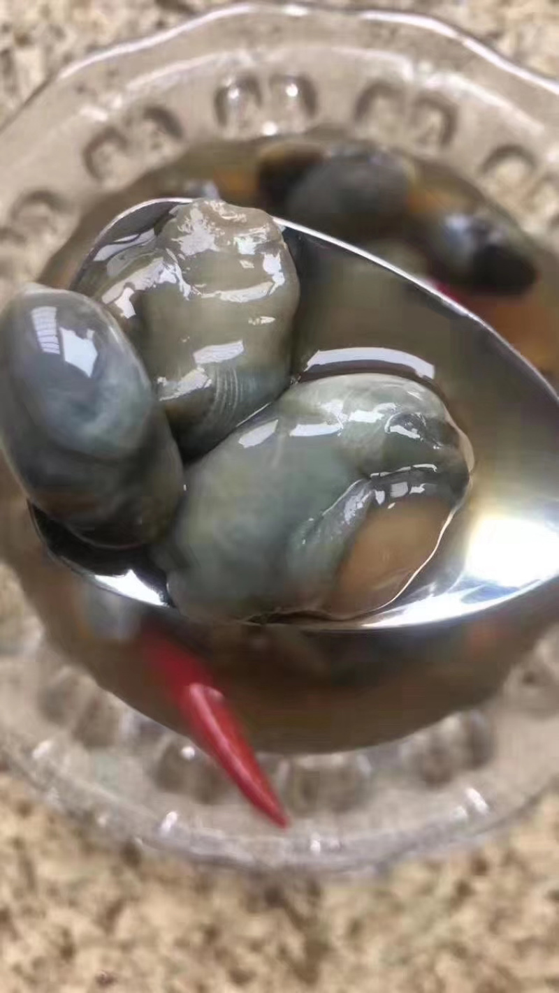 泥螺
