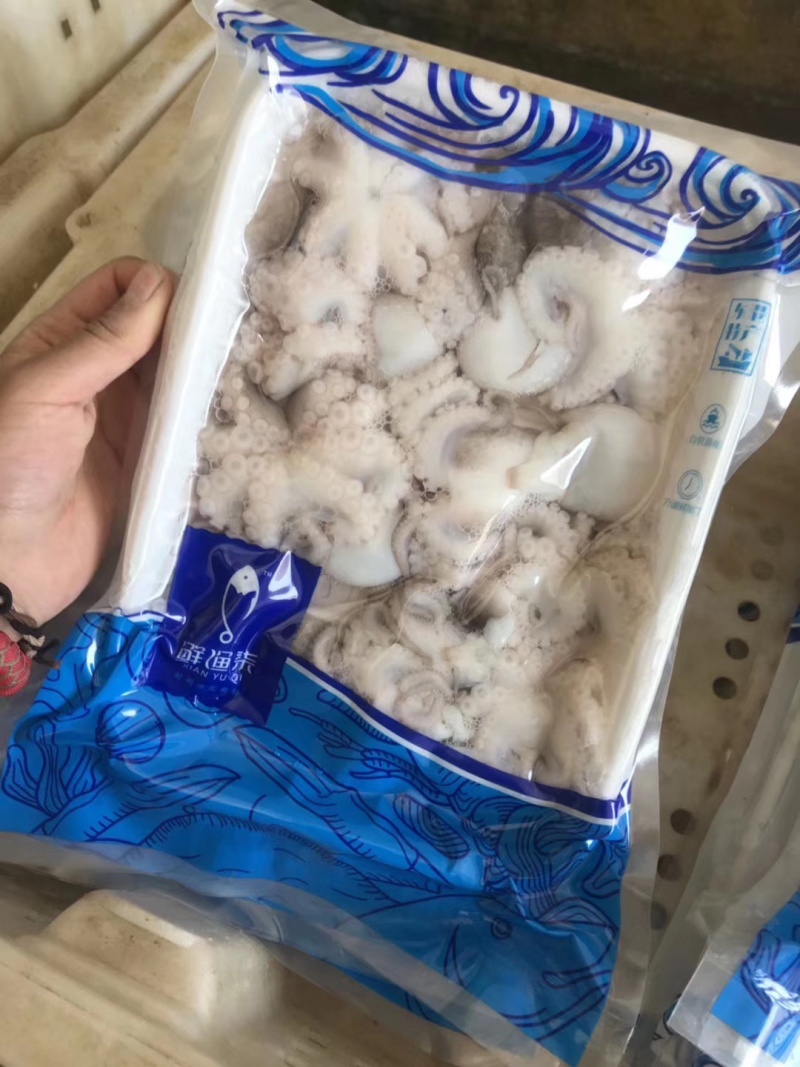 八爪鱼