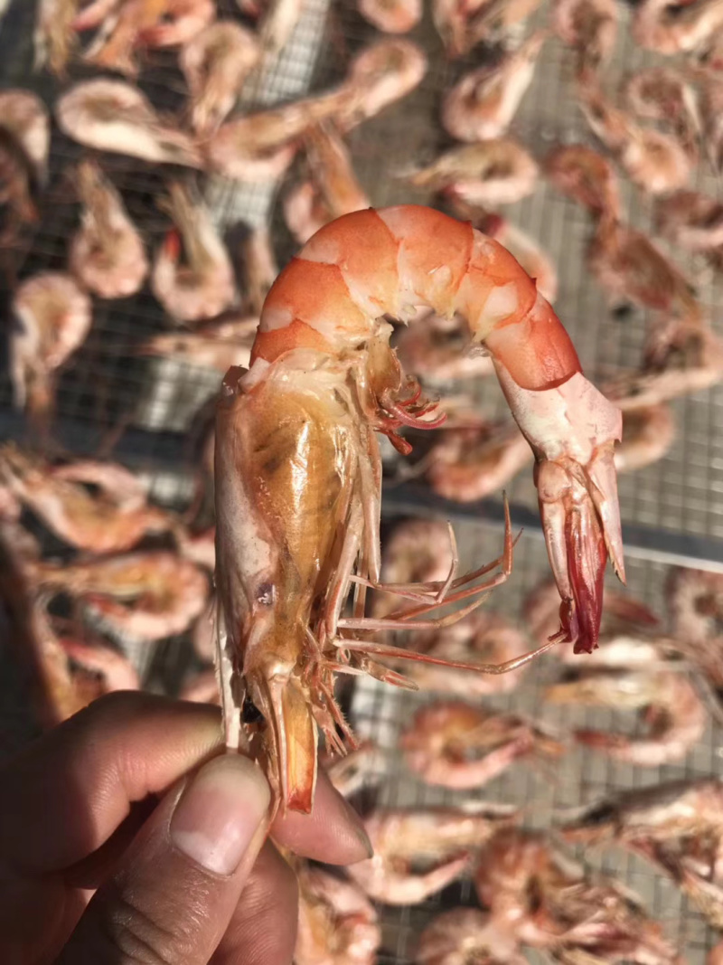 磷虾干