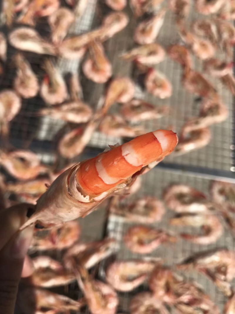 磷虾干