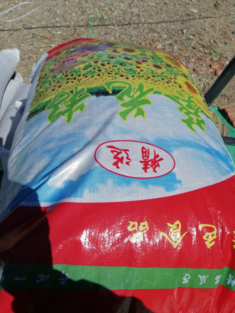 葵花363