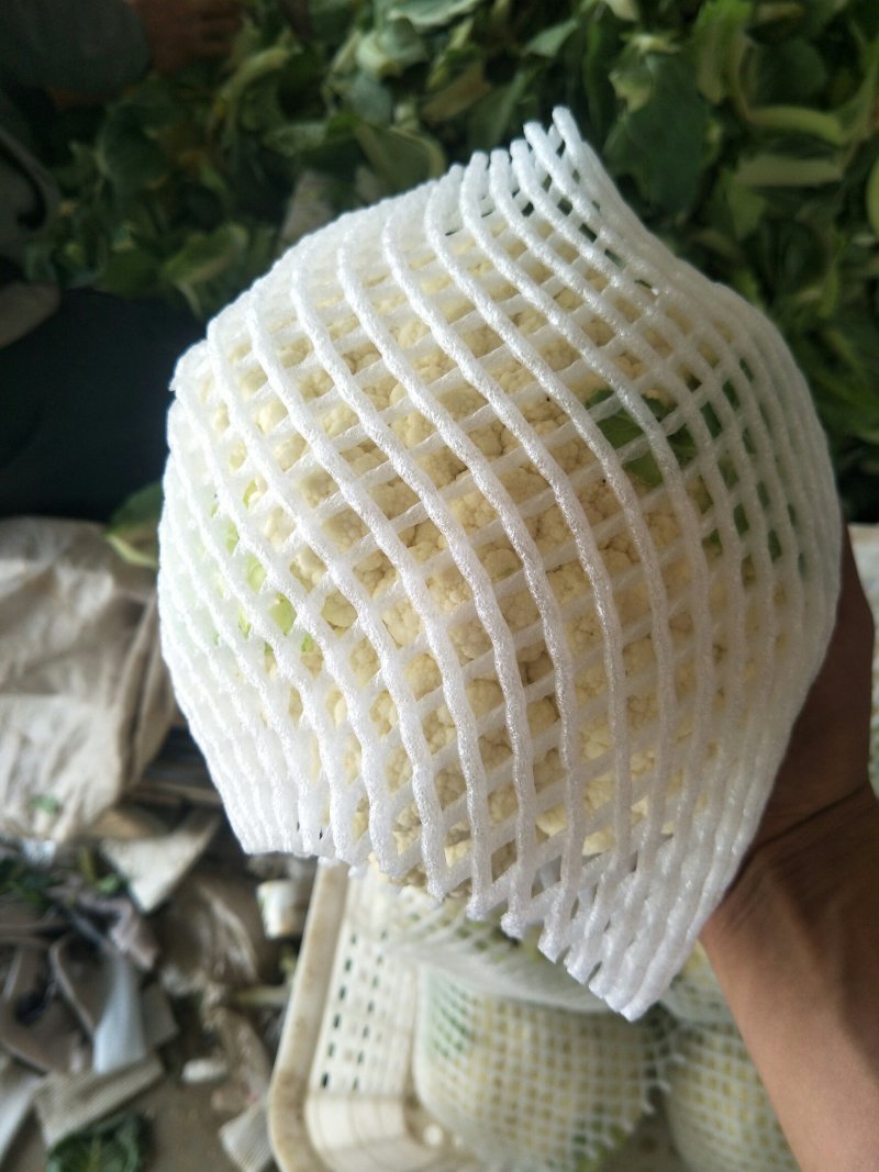 散花，青梗白面小米花，量大质优需要请联系我可供全国市场