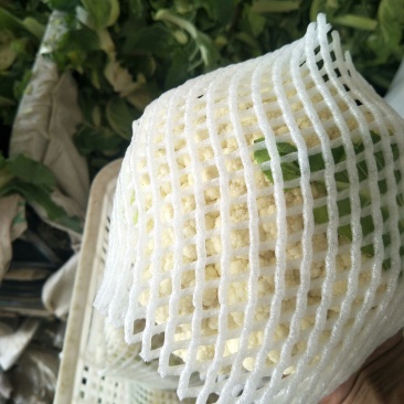 散花，青梗白面小米花，量大质优需要请联系我可供全国市场
