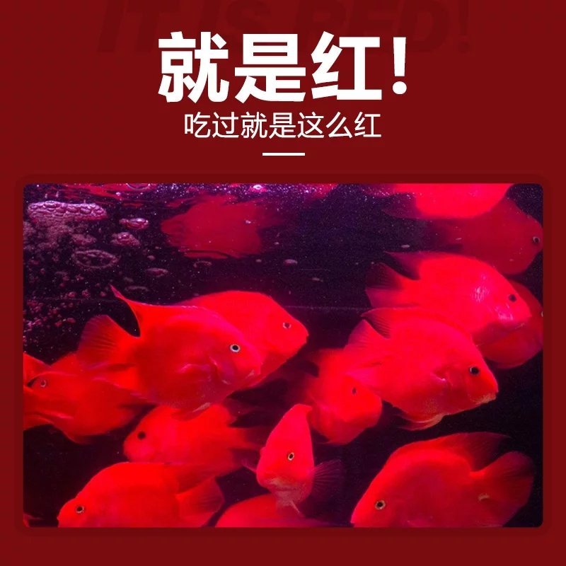 观赏鱼食