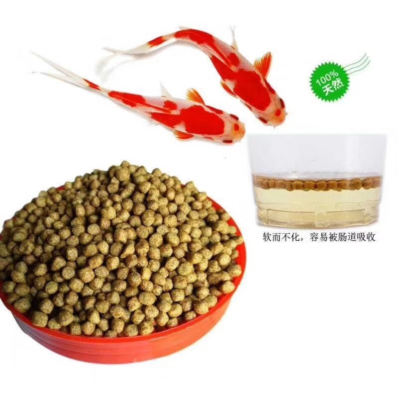 观赏鱼食