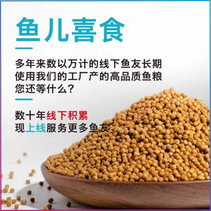 观赏鱼食