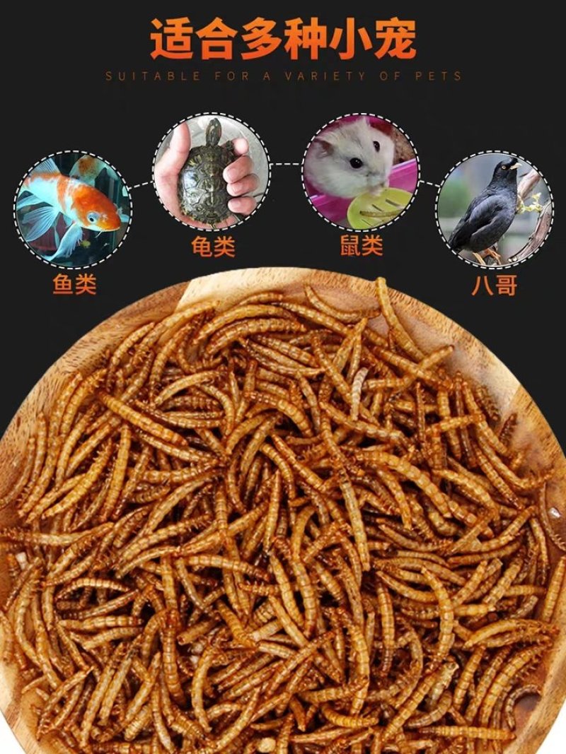 观赏鱼食