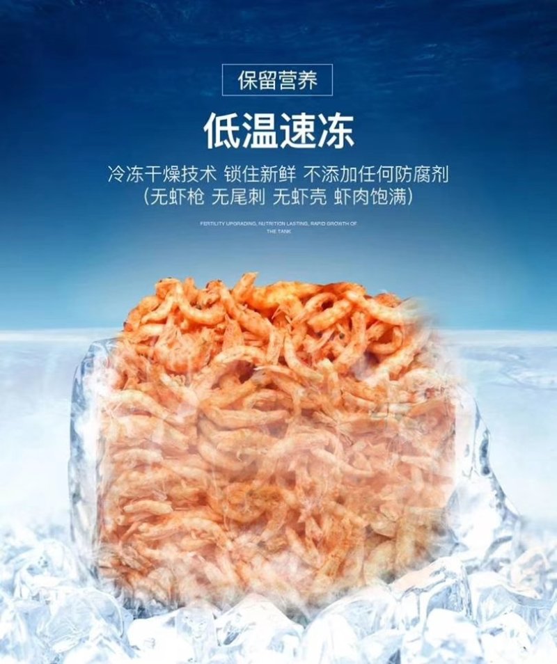 观赏鱼食