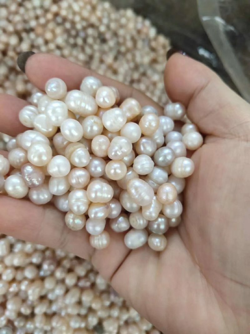 药用珍珠打粉珍珠美容珍珠珍珠粉大量现货供应批发大