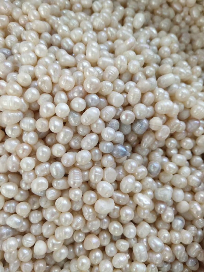 药用珍珠打粉珍珠美容珍珠珍珠粉大量现货供应批发大