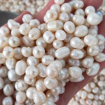 药用珍珠打粉珍珠美容珍珠珍珠粉大量现货供应批发大