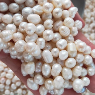 药用珍珠打粉珍珠美容珍珠珍珠粉大量现货供应批发大