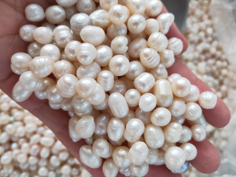 药用珍珠打粉珍珠美容珍珠珍珠粉大量现货供应批发大