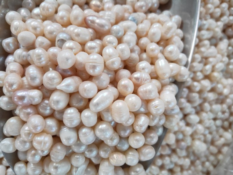 药用珍珠打粉珍珠美容珍珠珍珠粉大量现货供应批发大