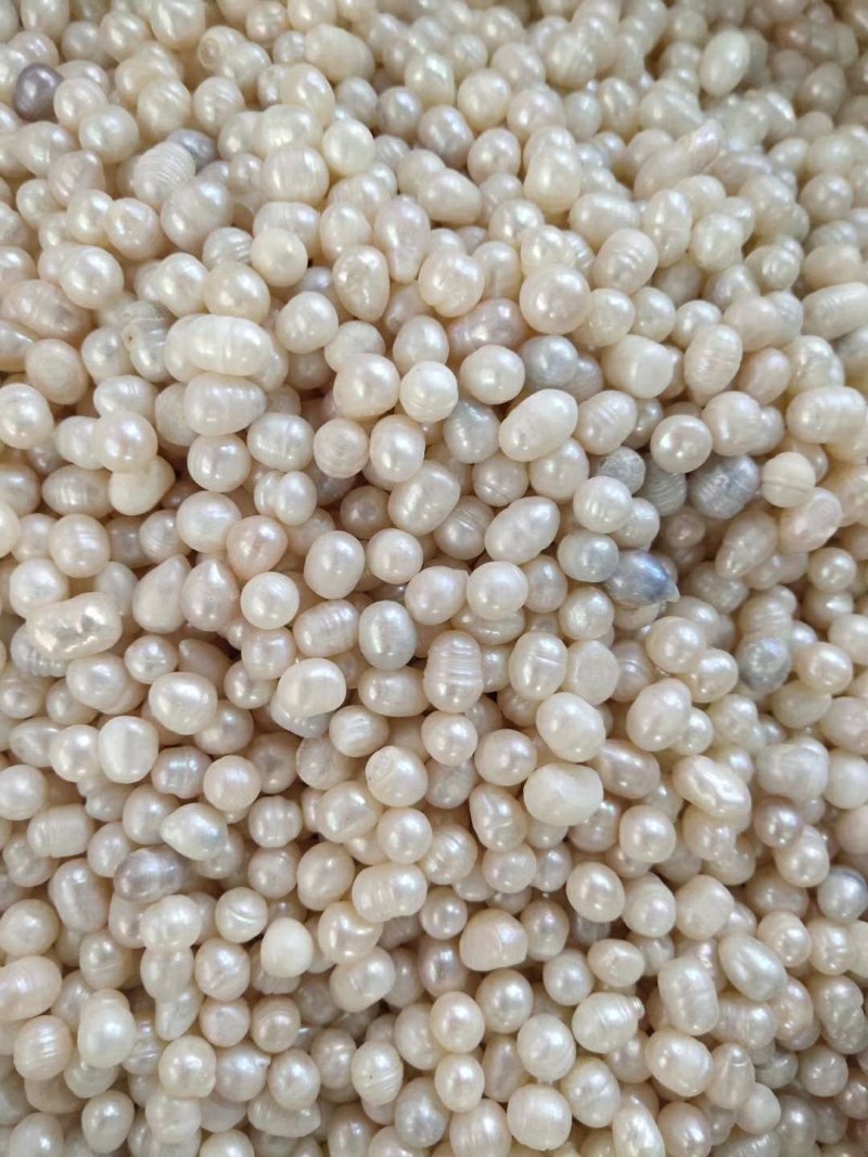 药用珍珠打粉珍珠美容珍珠珍珠粉大量现货供应批发大