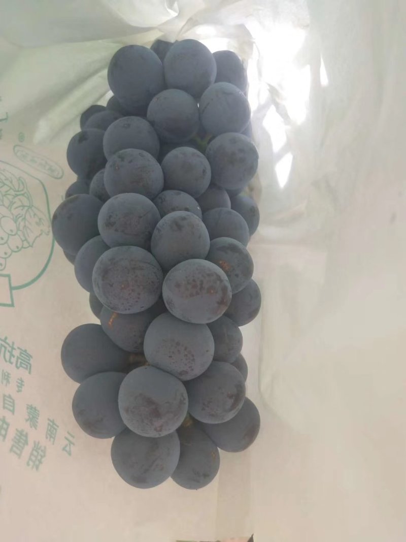 二季黑提葡萄以大量上市啦！品质质量很好