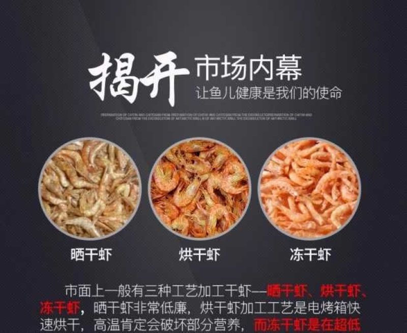 南极磷虾
