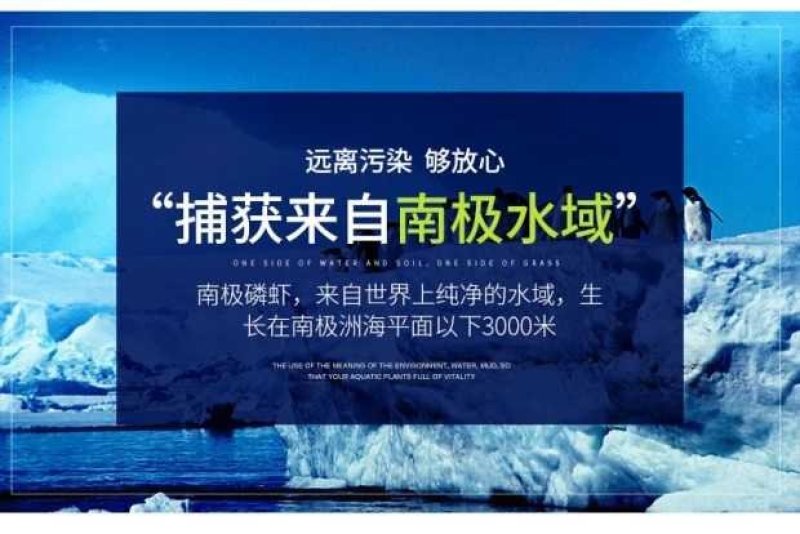 南极磷虾
