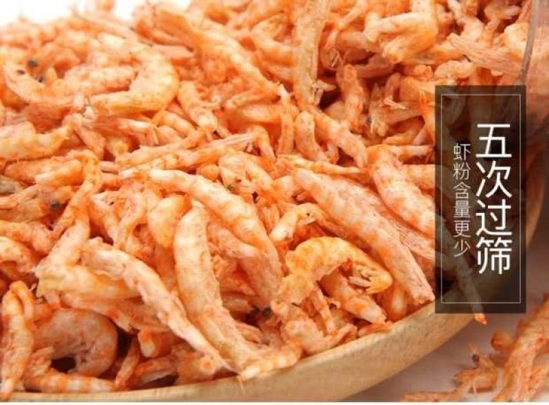 南极磷虾