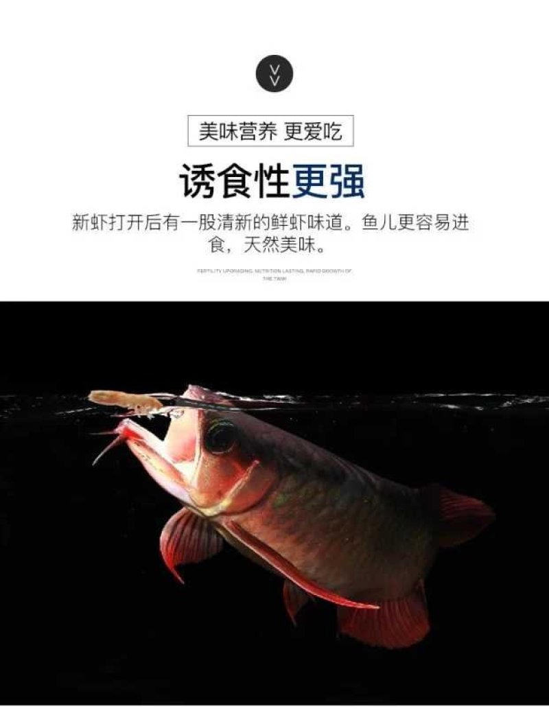 南极磷虾