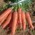 辽宁锦州凌海胡萝卜2两以上带土10厘米以上红！